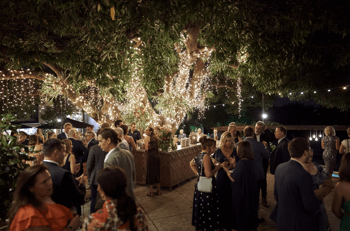 Reception venue in Brisbane with guests under mango tree and fairy lights at Hillstone St Lucia.