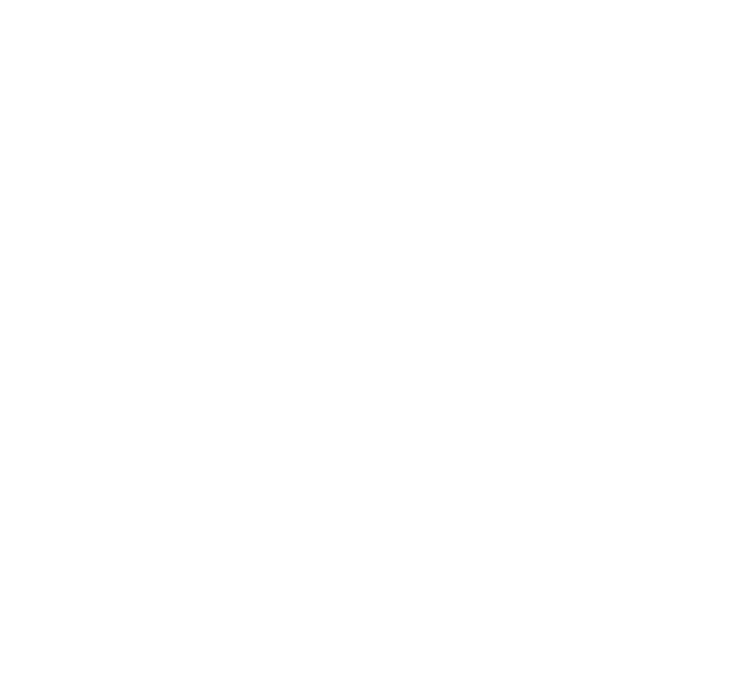 Hillstone St Lucia Logo White